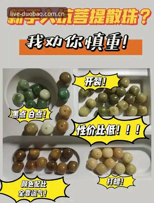 指南：多宝体育平台新手入门完整指南
